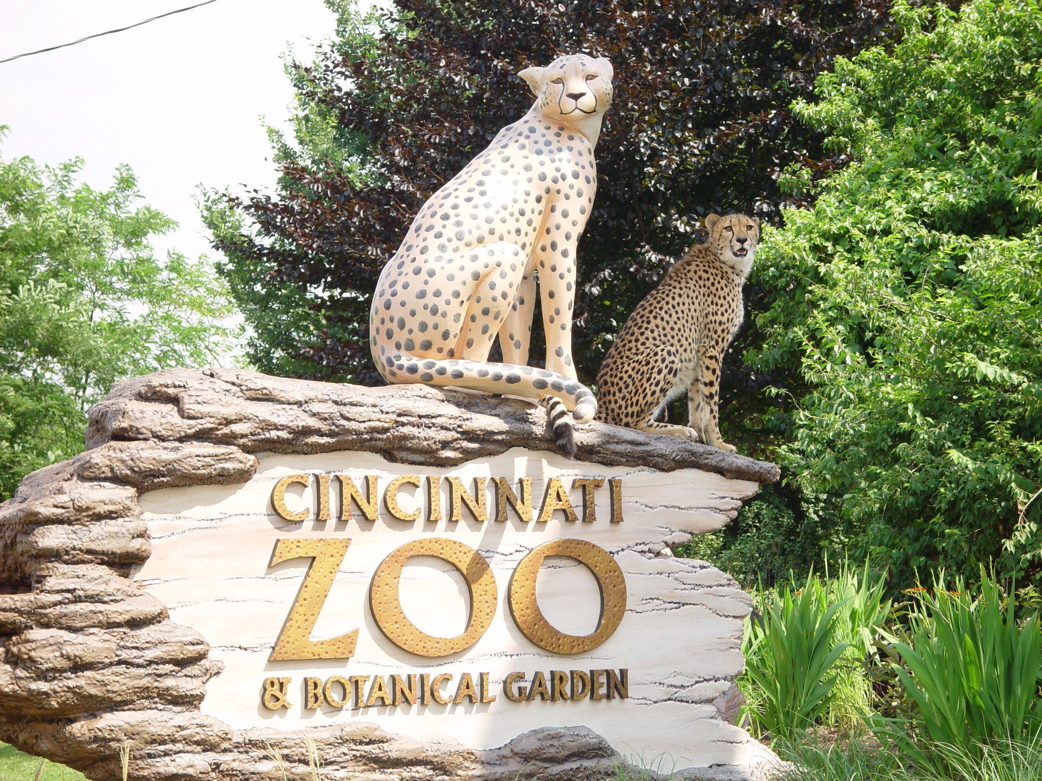 Family Fun at the Cincinnati Zoo Stories From the Playground